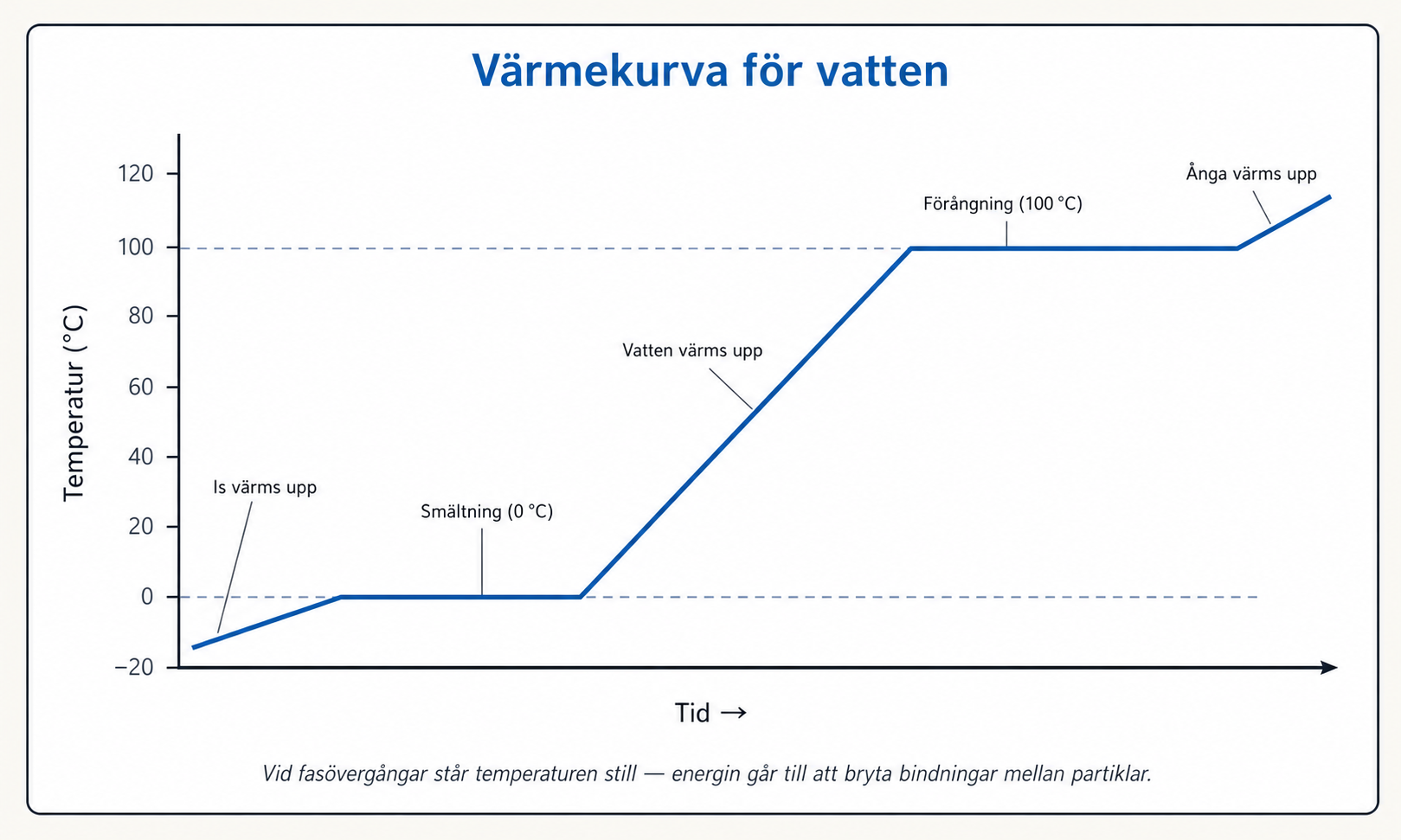 Värmekurva för vatten med 5 segment: is värms upp (lutning), smältning vid 0 °C (horisontell platå), vatten värms upp (lutning), förångning vid 100 °C (horisontell platå), ånga värms upp (lutning). Visualiserar att temperaturen står still vid fasövergångar.