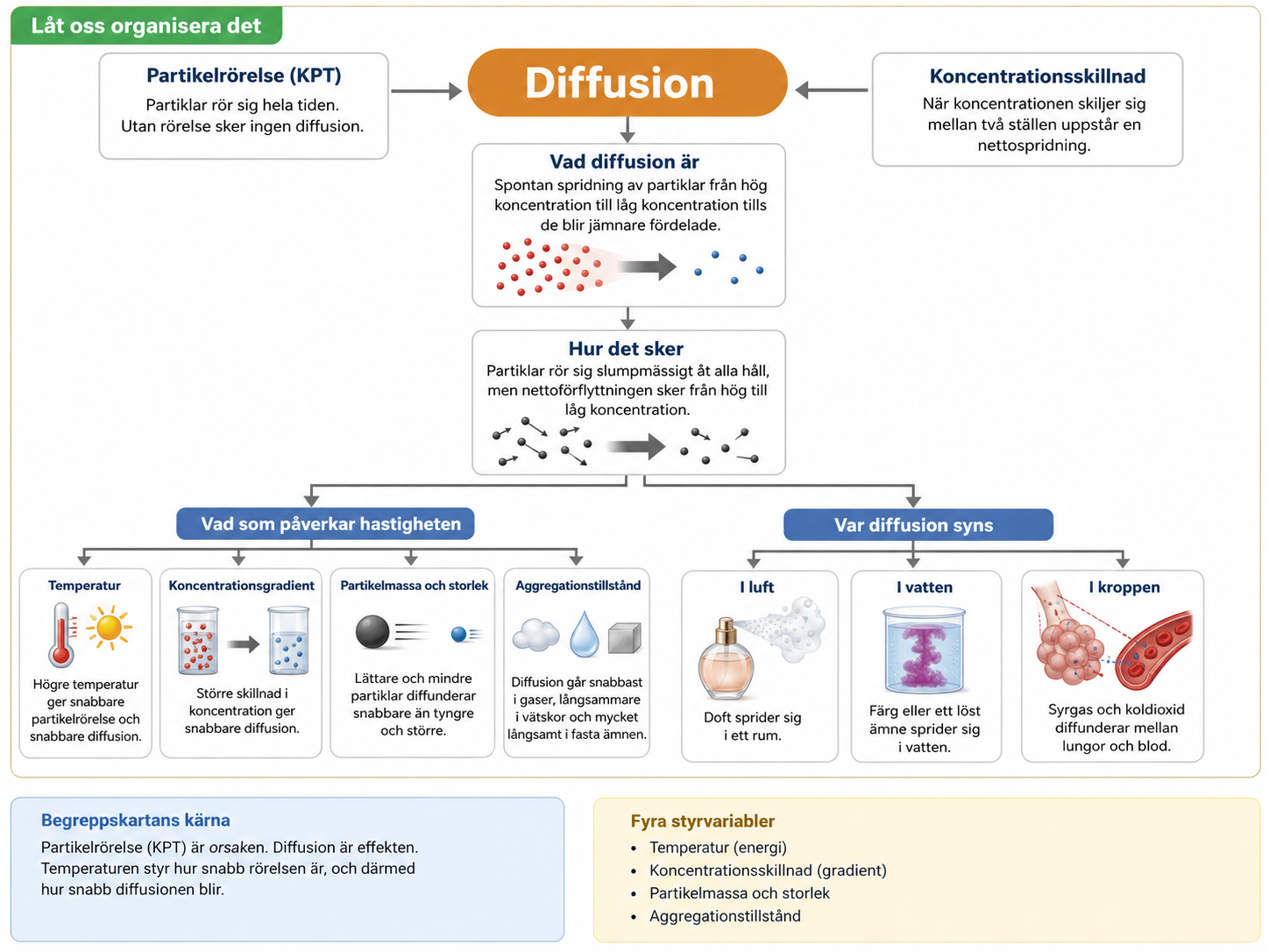 Detaljerad begreppskarta Diffusion: PartikelrÃ¶relse (KPT) â†’ Diffusion â†’ Koncentrationsskillnad; faktorer Temperatur, Koncentrationsgradient, Partikelmassa, Aggregationsform; tillÃ¤mpningar i luft, vatten, kroppen.