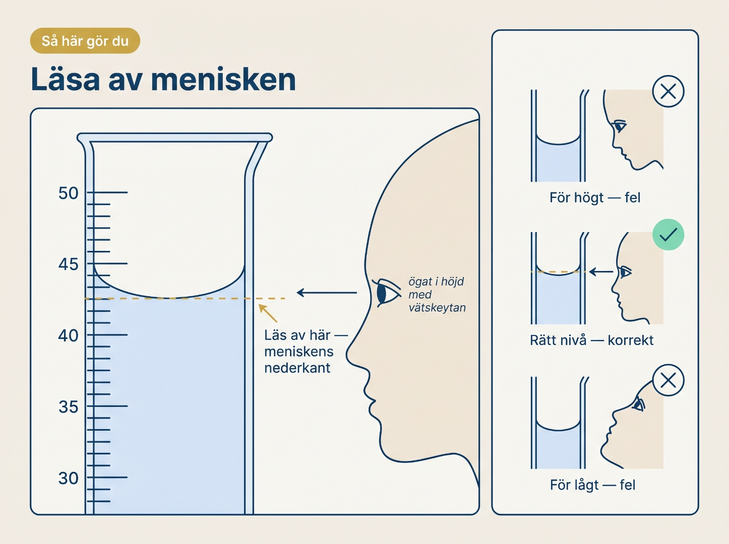 Steg-för-steg: korrekt avläsning av meniskens nederkant med ögat i höjd med vätskeytan. Tre delfigurer visar fel avläsning ovanifrån, korrekt avläsning rakt på och fel avläsning underifrån.