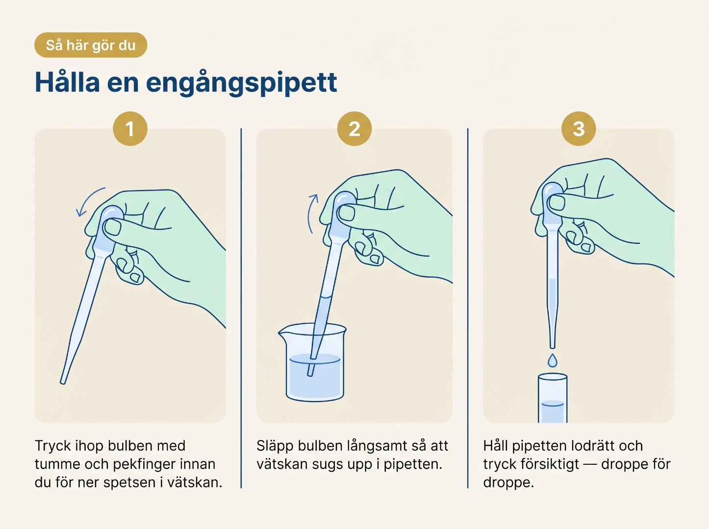 Tre steg för att hålla en engångspipett: 1) tryck ihop bulben med tumme och pekfinger, 2) släpp bulben långsamt så vätskan sugs upp, 3) håll pipetten lodrätt och tryck ut droppe för droppe.