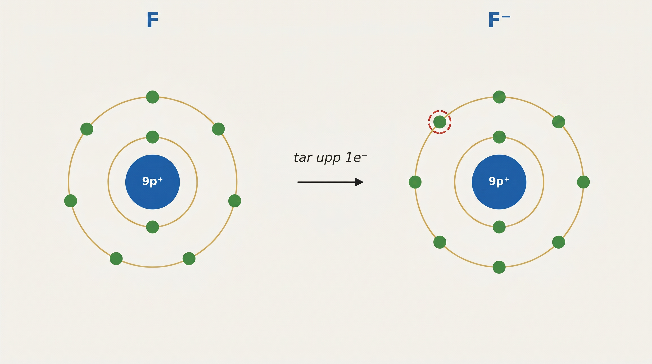 Fluoratom (2-7) som tar upp en elektron och bildar F⁻ med 2-8 elektroner.