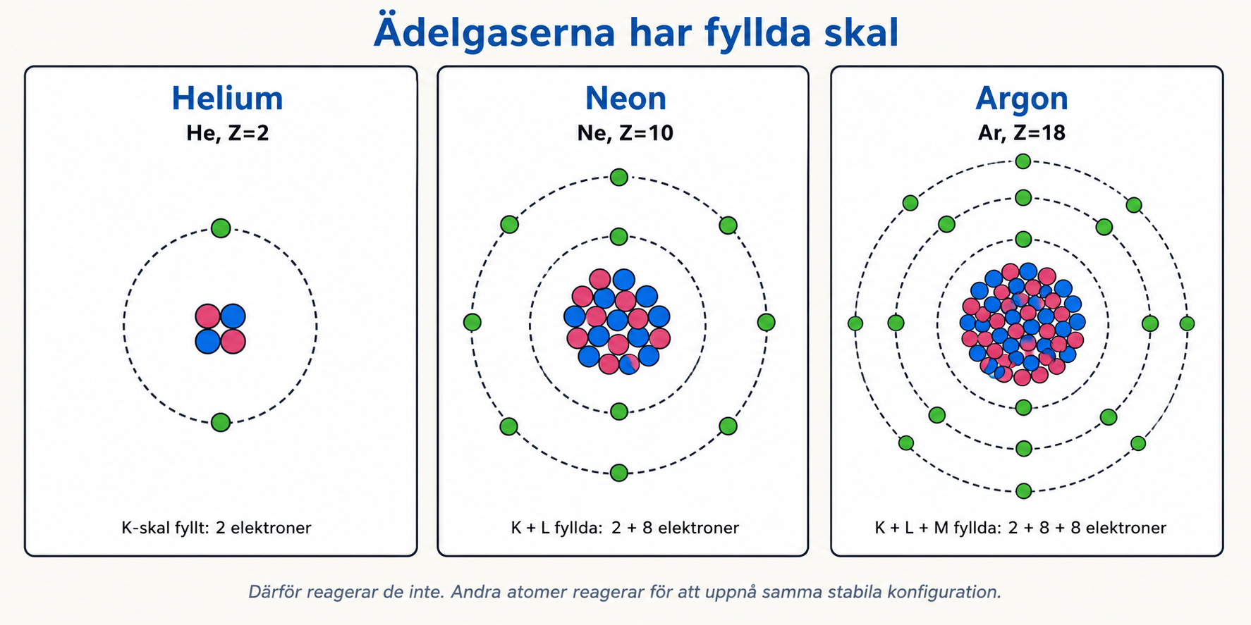 Tre ädelgaser i Bohr-modell: helium (2 elektroner i K), neon (2+8), argon (2+8+8) — alla med fyllda yttre skal som förklarar deras kemiska stabilitet.