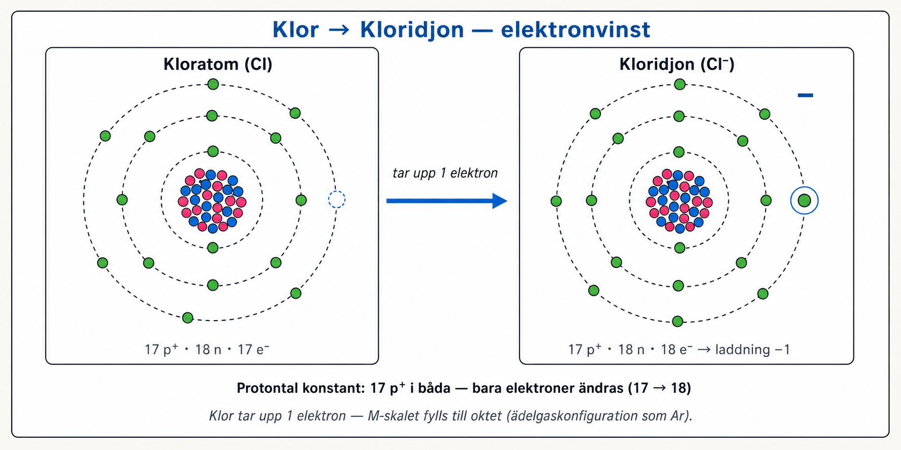 Bohr-modell: klor (Cl) tar upp en elektron och bildar Cl--jon med ädelgasstruktur som argon.