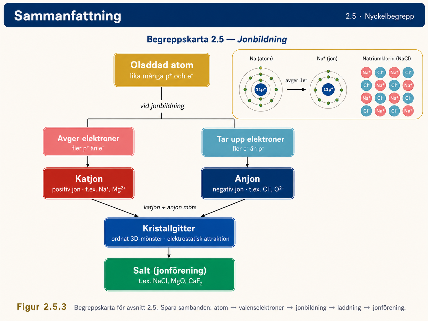 Begreppskarta jonbildning: Oladdad atom ger elektroner (katjon) eller tar upp elektroner (anjon); katjon + anjon möts; bildas Kristallgitter via elektrostatisk attraktion; ger Salt t.ex. NaCl, MgO, CaCl2.