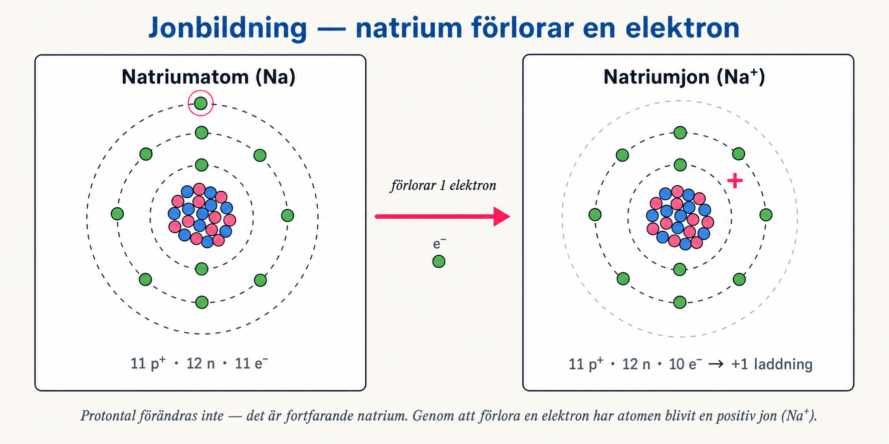 Bohr-modell: natrium (Na) ger bort sin valenselektron och bildar Na+-jon med ädelgasstruktur.