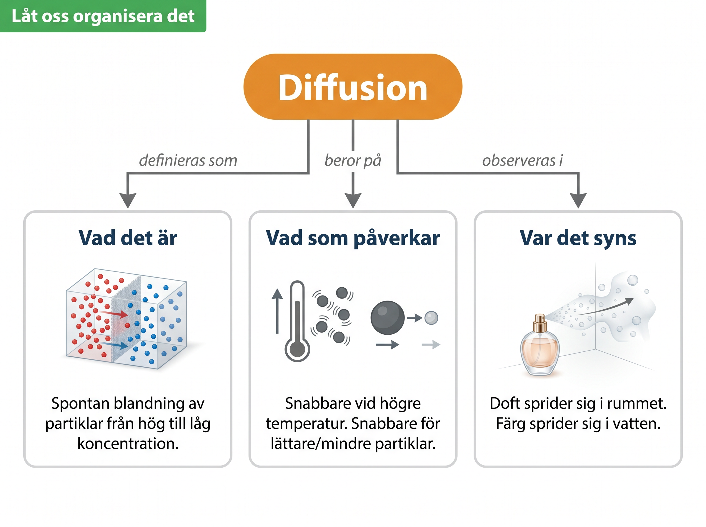 Begreppskarta fÃ¶r diffusion: partikelrÃ¶relse leder till diffusion som pÃ¥verkas av temperatur, koncentrationsgradient, partikelmassa och tillstÃ¥nd.