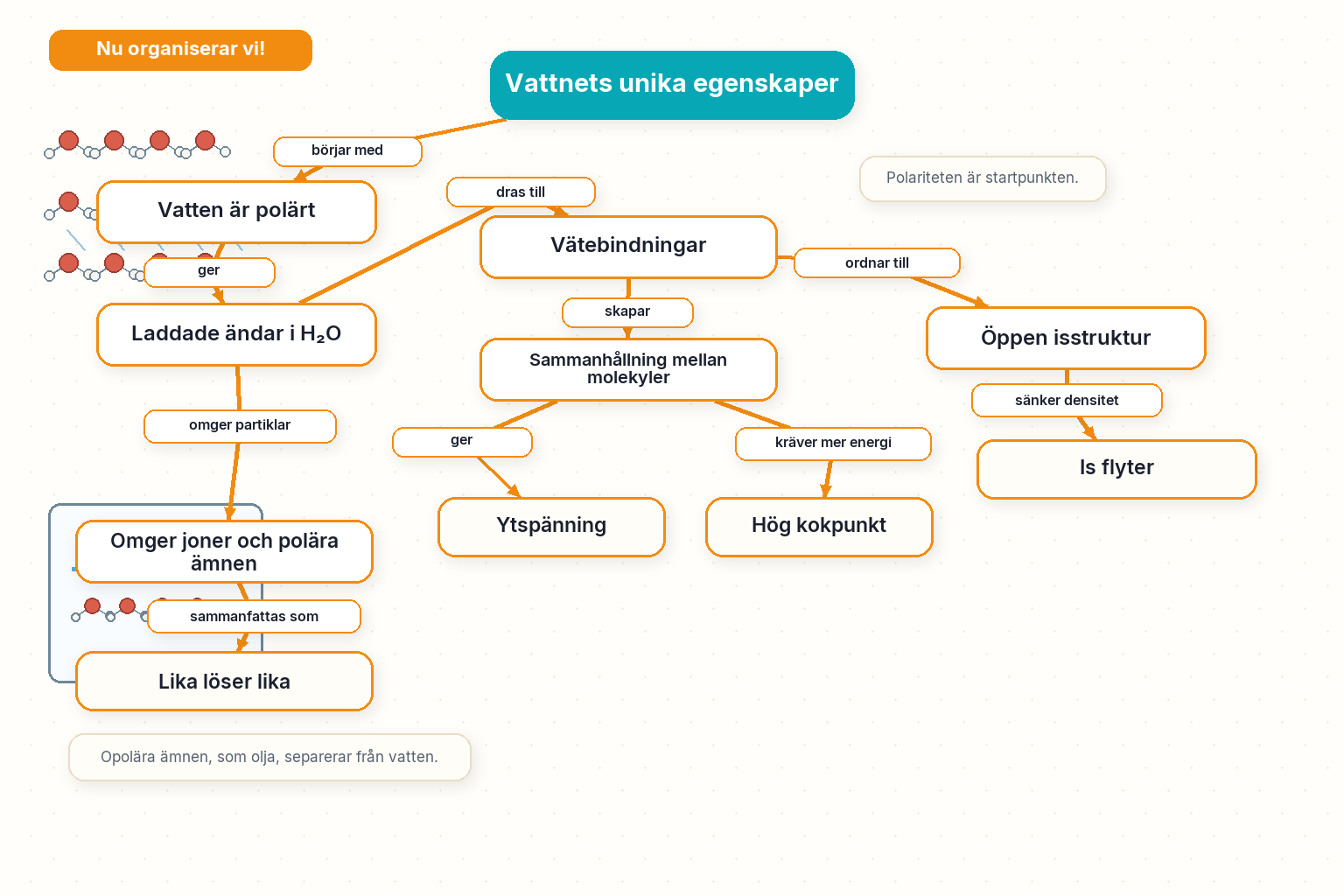 Nu organiserar vi! — Vattnets unika egenskaper: polaritet, vätebindningar, ytspänning, isens densitet och lika löser lika.