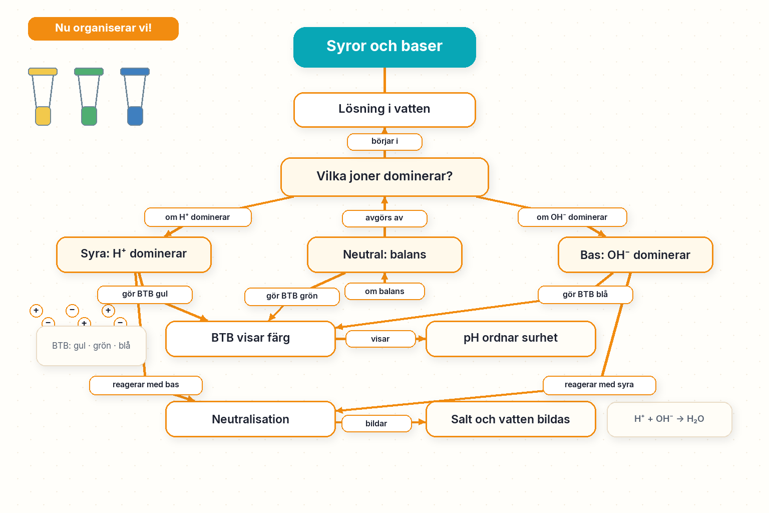 Nu organiserar vi! — Syror och baser: syror, baser, pH-skala, indikatorer och neutralisation.