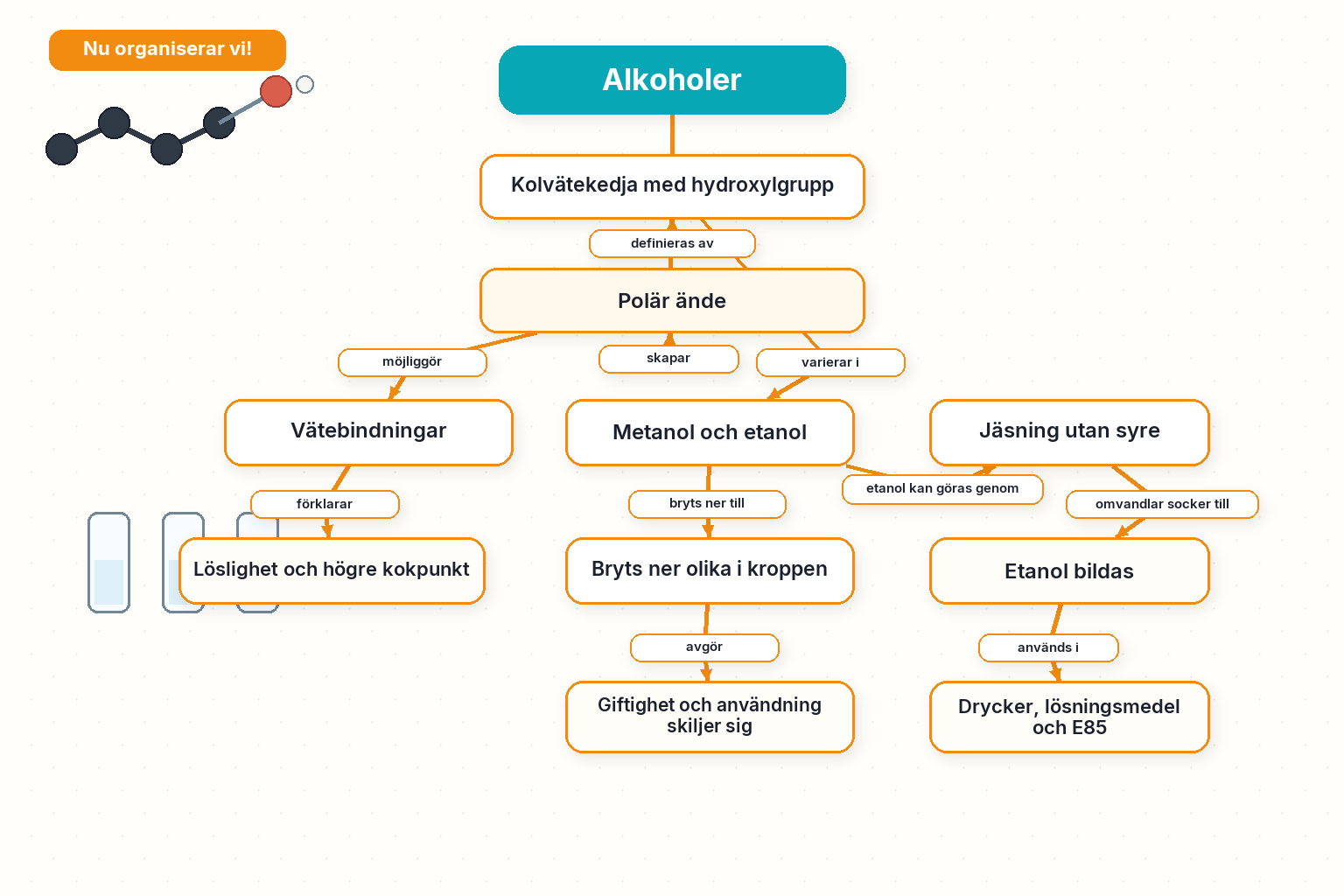 Nu organiserar vi! — Alkoholer: metanol, etanol, propanol, OH-grupp, jäsning