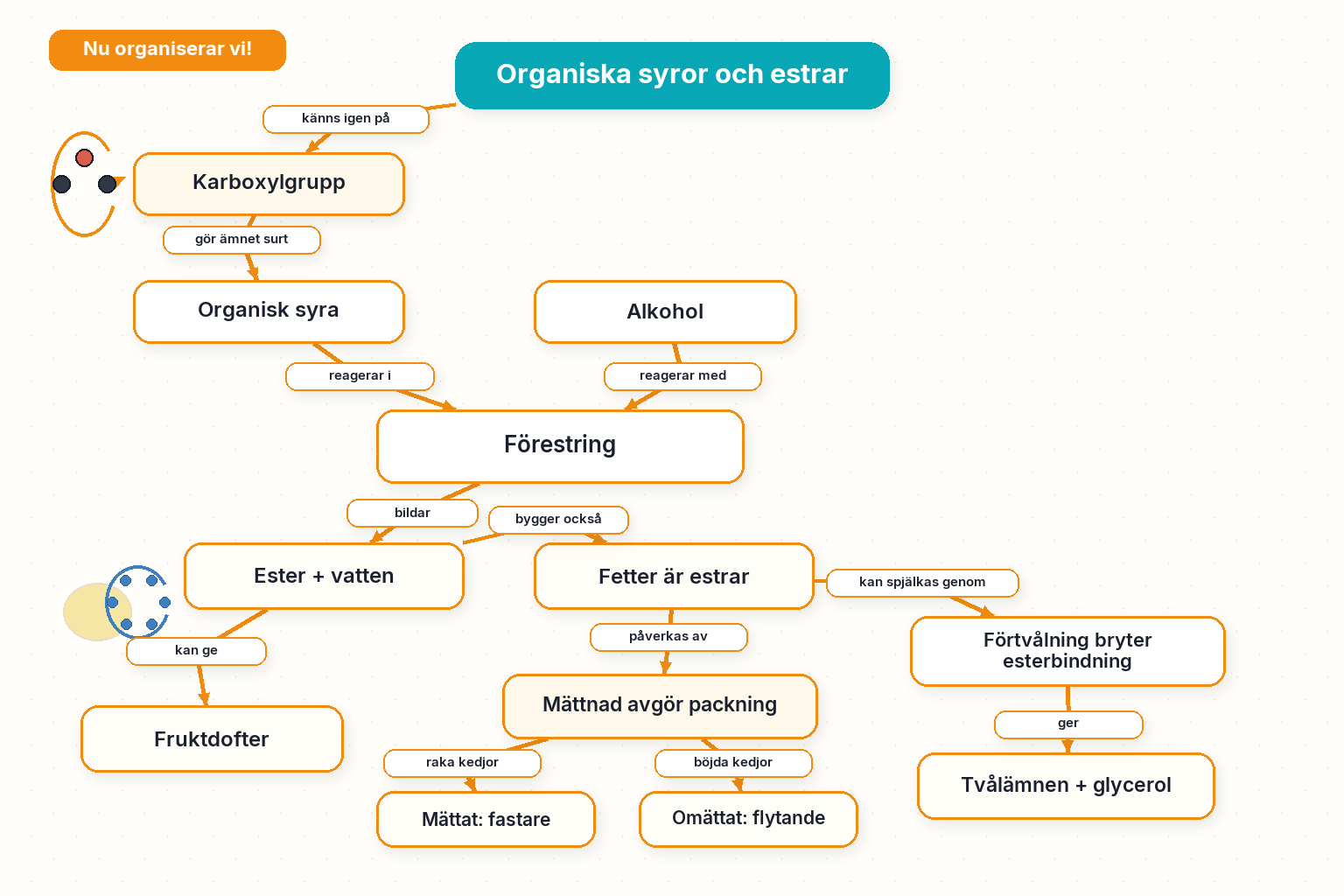 Nu organiserar vi! — Organiska syror och estrar: karboxylsyror, förestring, fetter och tvål